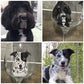 Pet portrait wine glass